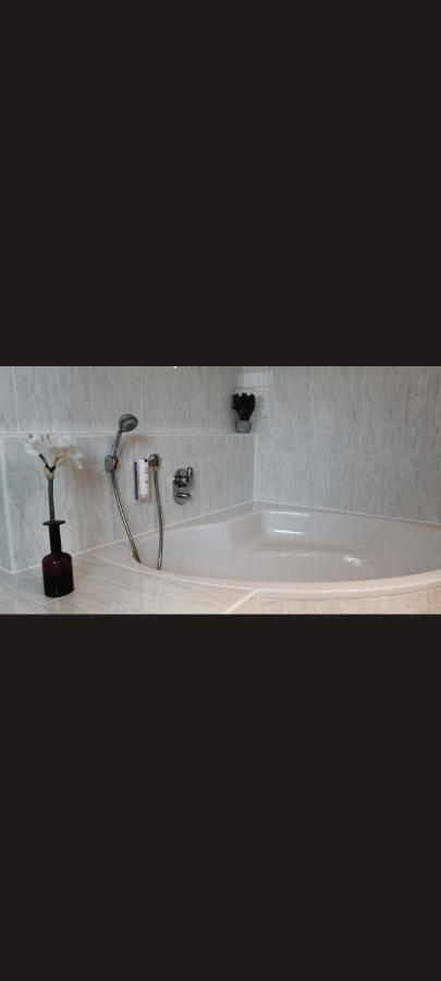 Self Checkin Hotel Heckenrose Lorin Рингсхайм Екстериор снимка