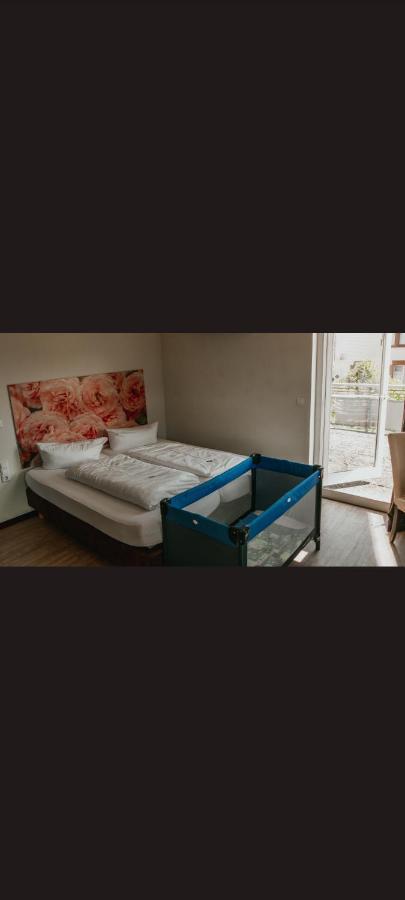 Self Checkin Hotel Heckenrose Lorin Рингсхайм Екстериор снимка